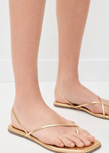 Load image into Gallery viewer, TKEES Square Toe Millie
