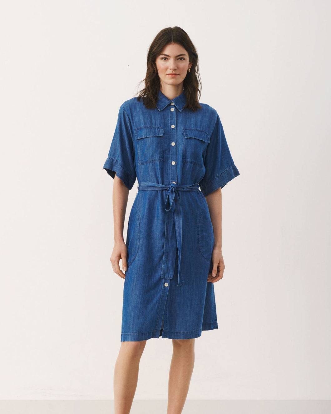 Brielle Denim Dress