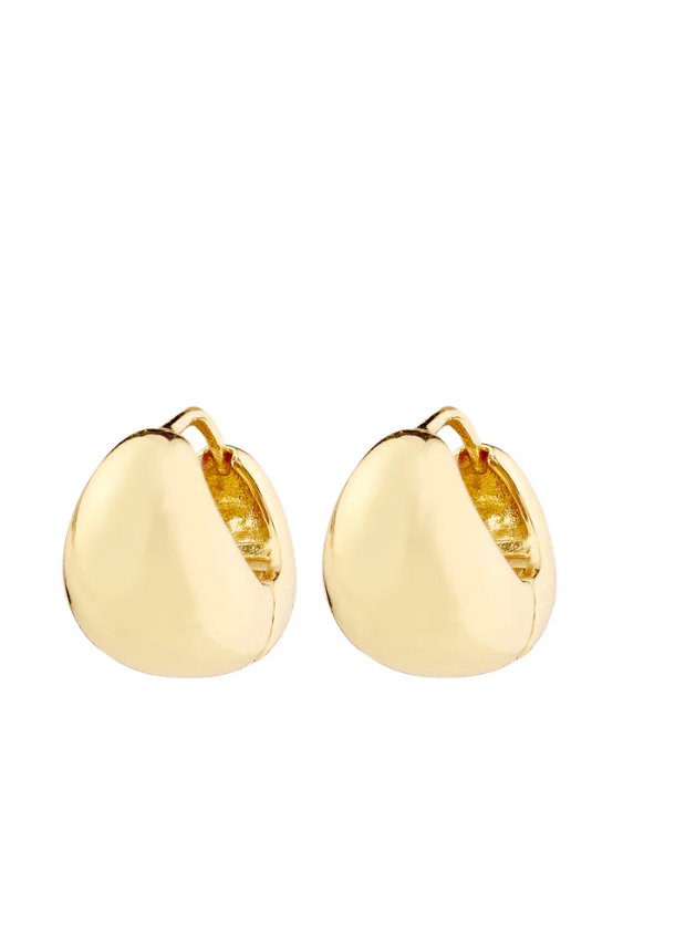 Pilgrim Jua Earrings