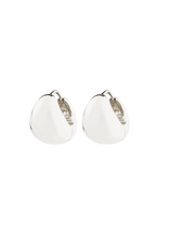 Load image into Gallery viewer, Pilgrim Jua Earrings
